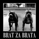 Фотография Гладкова Максима