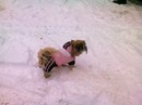 Мар'яна Гусєва фотография #5 (источник - https://vk.com/id156871359)