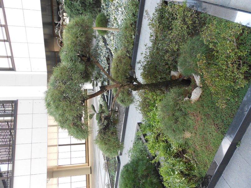 Евгений Балбышев фотография #28