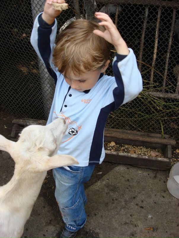 Софья Борушкина фотография #34