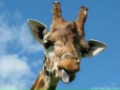 Фотография Никитина Сергея