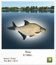 Діма Чейпеш фотография #22 (источник - https://vk.com/id160940576)