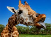 Віктор Книш фотография #14 (источник - https://vk.com/id74201714)