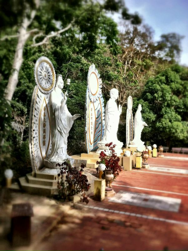 Александр Кадыкеев фотография #17