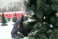 Фотография Донского Данила