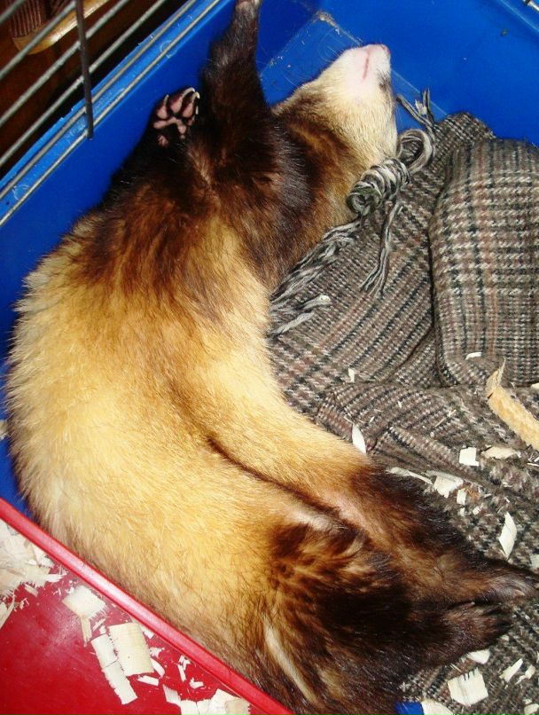 Алина Стом фотография #19