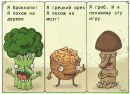 Все Суші фотография #30 (источник - https://vk.com/id152007821)