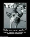 Марія Коваленко фотография #41 (источник - https://vk.com/id168803098)