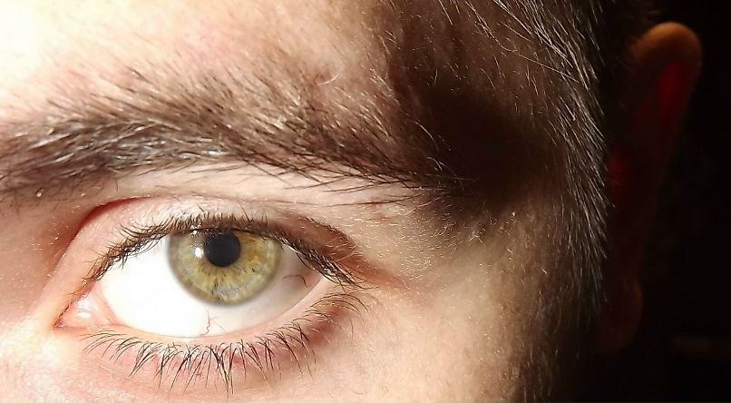 Руслан Медведев фотография #38