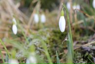 Фотография Семченко Натальи