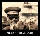 Фотография Никифорова Алексея