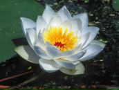 Фотография Шушко Виктории