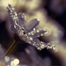 Юлія Белегай фотография #34 (источник - https://vk.com/id37233325)