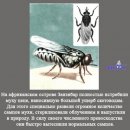 Діма Остапишин фотография #34 (источник - https://vk.com/id26627804)