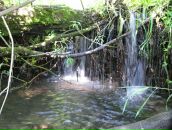 Фотография Вершинина Александра