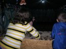 Анастасия Котова фотография #33 (источник - https://vk.com/id35301831)