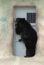 Іра Кондрат фотография #31 (источник - https://vk.com/id44818769)