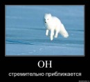 False Mirror фотография #7 (источник - https://vk.com/id64951534)