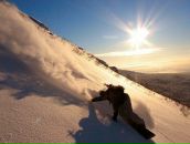 Фотография Голубкова Павла