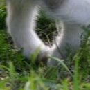 Наталя Кузів фотография #2 (источник - https://vk.com/id76628427)