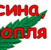 Мішаня Євро фотография #32 (источник - https://vk.com/id139384674)