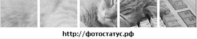 Ольга Гурнік фотография #29 (источник - https://vk.com/id112172004)