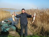 Фотография Шепеты Виталия