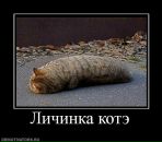Ігор Зубенко фотография #34 (источник - https://vk.com/id1185620)