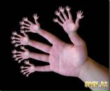 Славік Куриляк фотография #15 (источник - https://vk.com/id110642710)