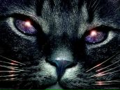 Фотография Газизьяновой Гузель