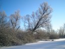 Фотография Котлярова Сергея