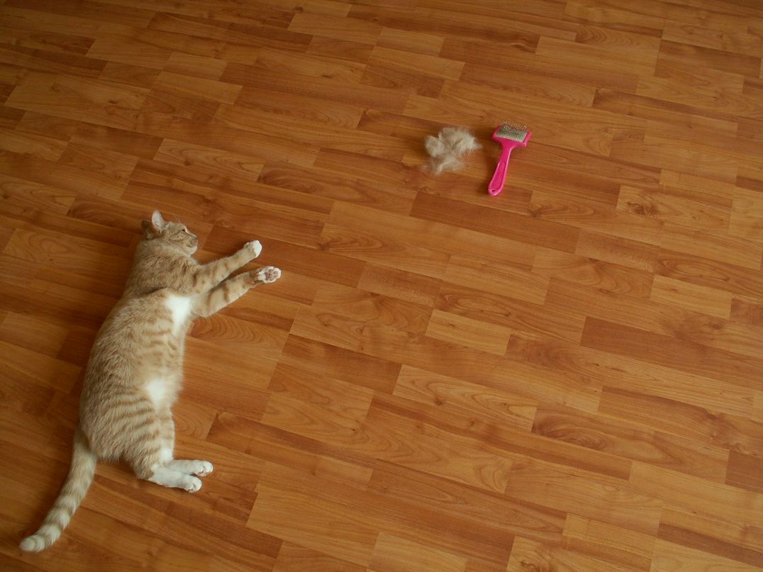 Дмитрий Бородулин фотография #5