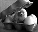 Міша Костик фотография #43 (источник - https://vk.com/id15137294)