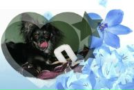 Фотография Пейгалайнен Любови