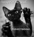 Фотография Цунаевой Евгении