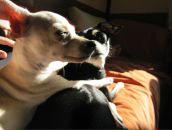 Uvb_ Msk фотография #18 (источник - https://vk.com/id141004248)