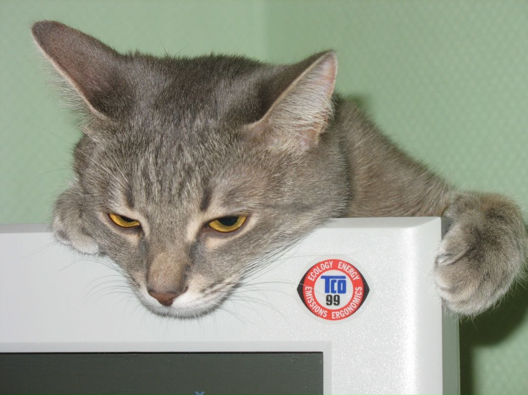 Константин Костин фотография #22