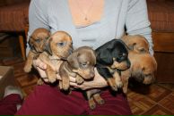 Фотография Naslednikova Ekaterina