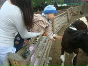 Фотография Островской Юлии