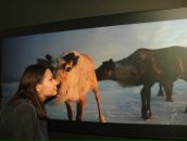 Фотография Ав Светланы