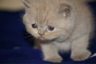 Фотография Фроловой Людмилы