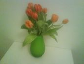 Фотография Черниховской Александры