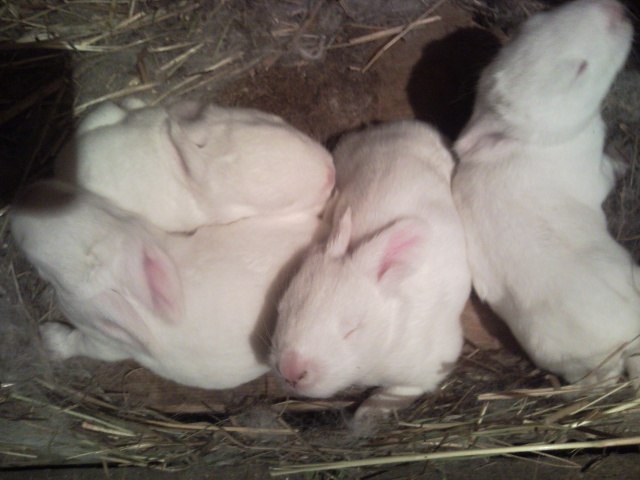 Мишка Сюбаев фотография #8