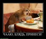 Фотография Иванютина Макса