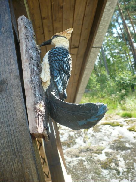 Дмитрий Редькин фото №4