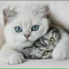 Фотография Кочновой Людмилы
