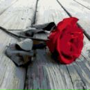 Карина :) фотография #23 (источник - https://vk.com/id71056332)