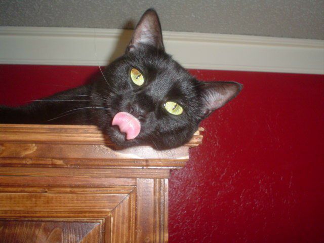 Igor Tarasov фото №41