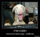 Толя Півторак фотография #25 (источник - https://vk.com/id70589193)