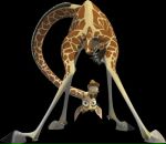 Фотография Вулах Маруси